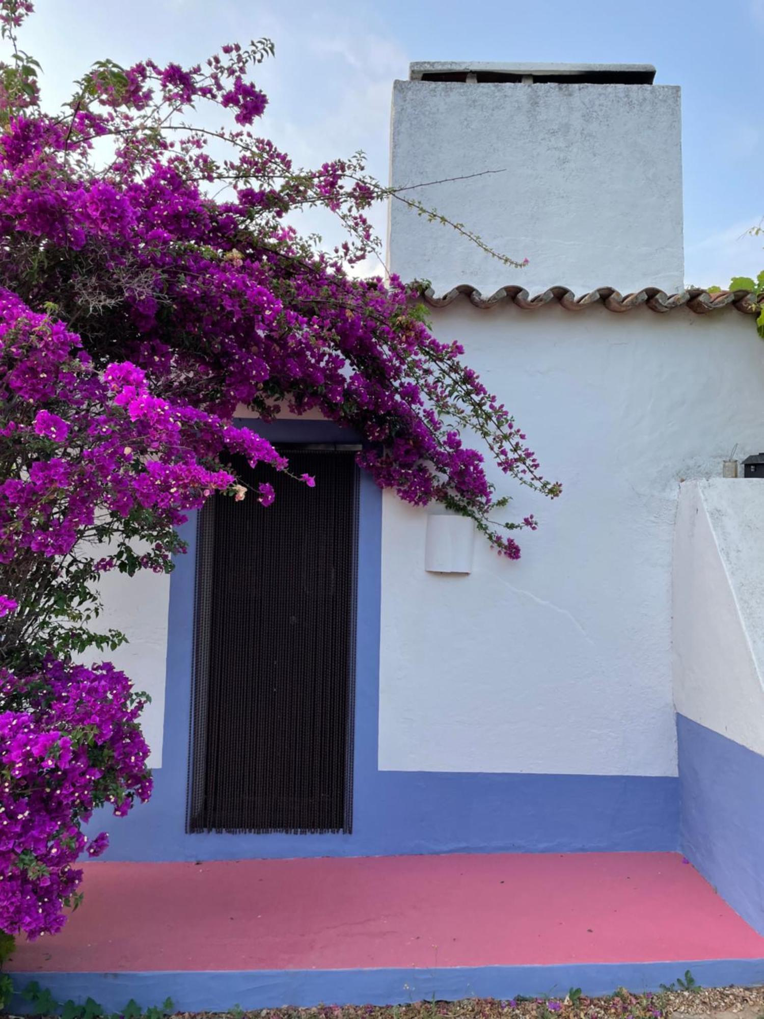 Courela Do Monte Novo Villa Santa Suzana Exterior photo